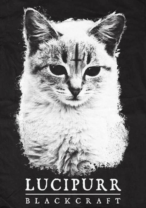 Lucipurr | T-SHIRT BLACKCRAFT Cats Lucipurr | T-SHIRT -VERA’S EYECANDY Shop blackcraft lucipurr t shirt